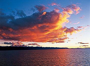 凯瑞-安·莫斯出演《地平线：西部禁域》 新神秘角色名叫Tilda