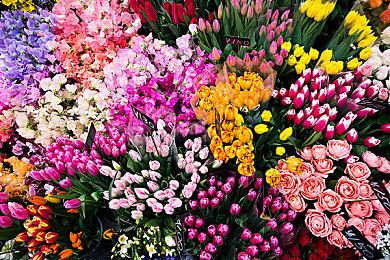 “螃蟹大战”系列最新作《螃蟹大战2》Steam体验版现已公开！